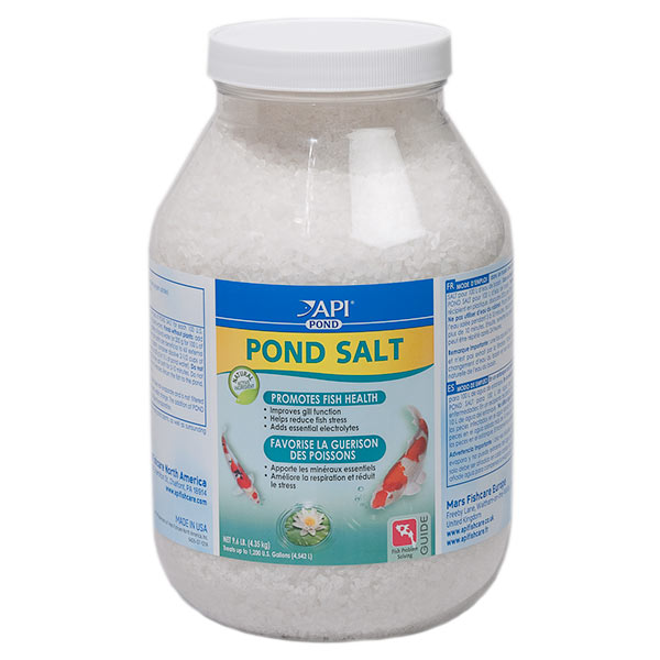 API POND POND SALT API POND POND SALT