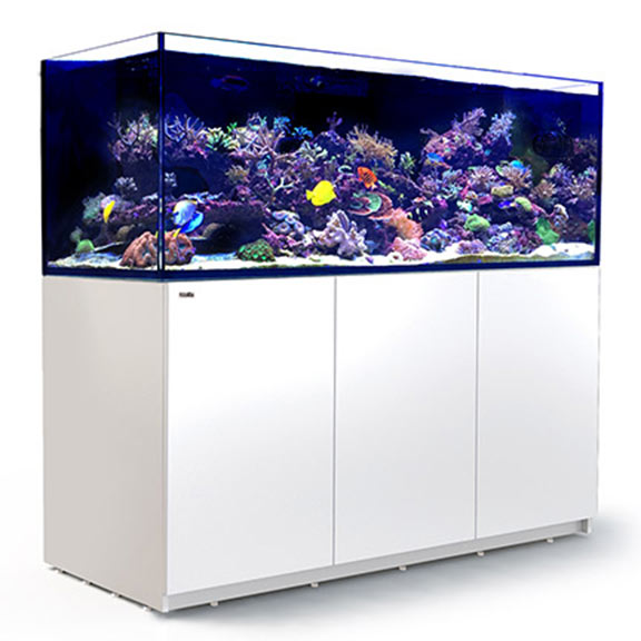 Red Sea REEFER™ XXL 750 Rimless Reef Ready System, White Red Sea REEFER™ XXL 750 Rimless Reef Ready System, White