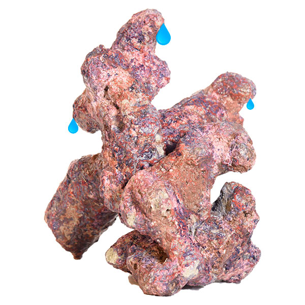 LiveAquaria® Premium Reef Rock LiveAquaria® Premium Reef Rock