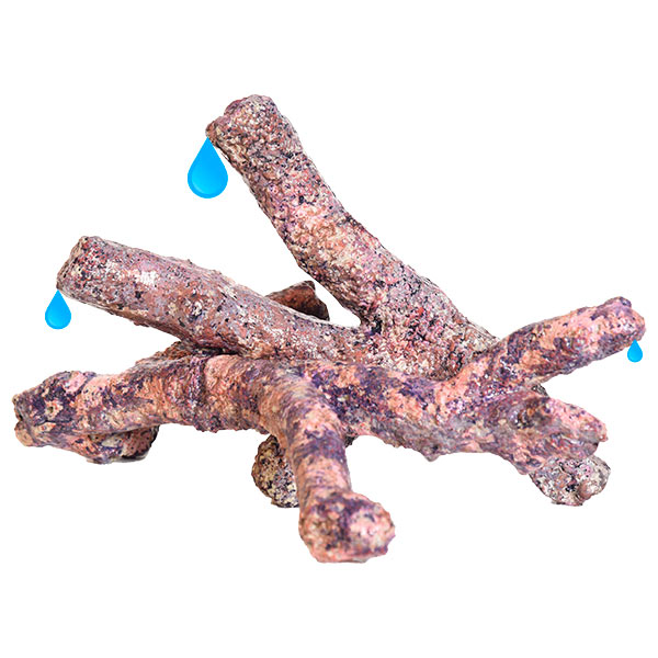 LiveAquaria® Premium Branch Reef Rock LiveAquaria® Premium Branch Reef Rock