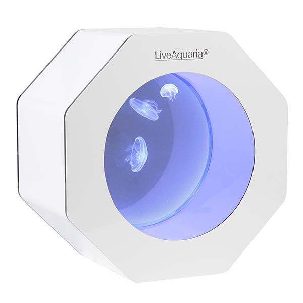 LiveAquaria® Octi Aquarium LiveAquaria® Octi Aquarium
