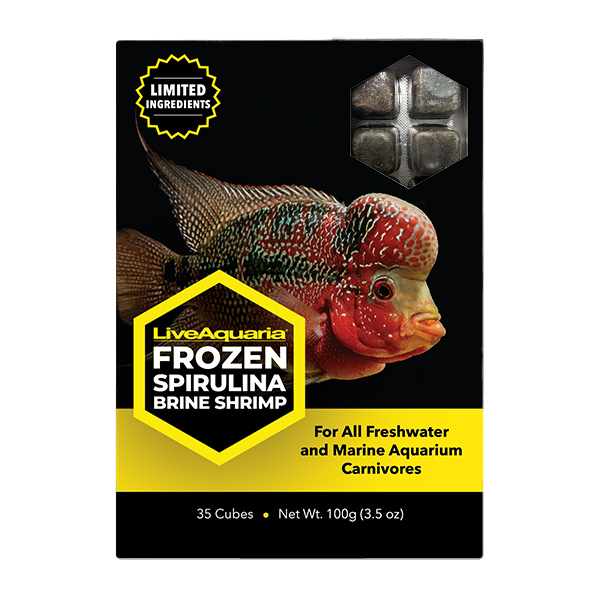LiveAquaria® Frozen Spirulina Brine Shrimp - 3.5 oz Cubes LiveAquaria® Frozen Spirulina Brine Shrimp - 3.5 oz Cubes