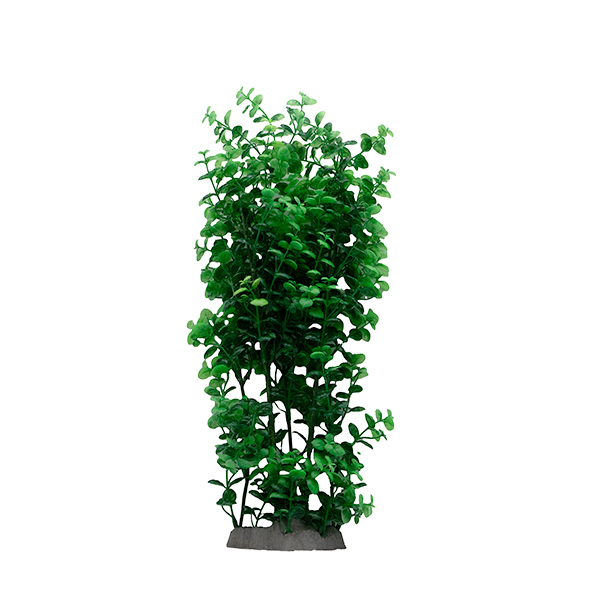 LiveAquaria® 14" Upright Background Plant LiveAquaria® 14" Upright Background Plant
