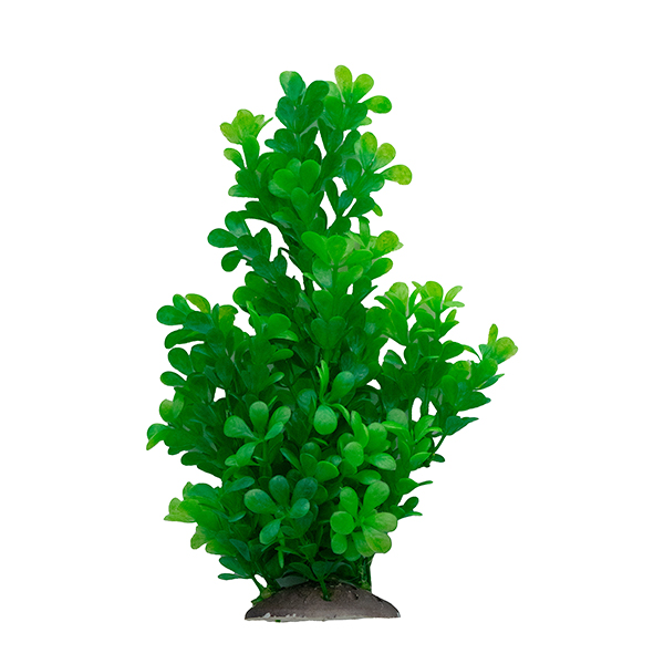 LiveAquaria® 10" Hideaway Bush LiveAquaria® 10" Hideaway Bush