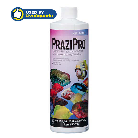 Aquarium Solutions PraziPro Aquarium Solutions PraziPro