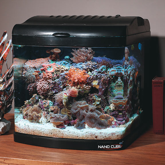 Fan-Cooled Nano Cube Aquariums Fan-Cooled Nano Cube Aquariums