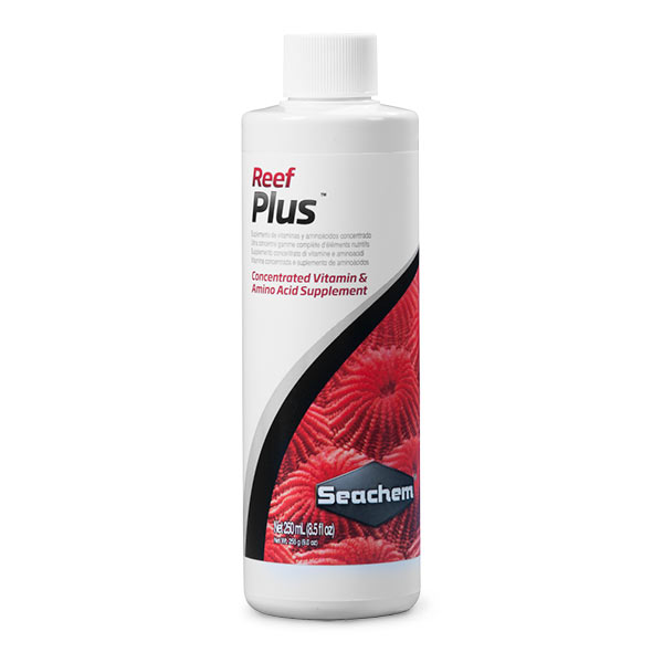 Reef Plus Reef Plus