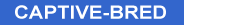 Captive-Bred Captive-Bred